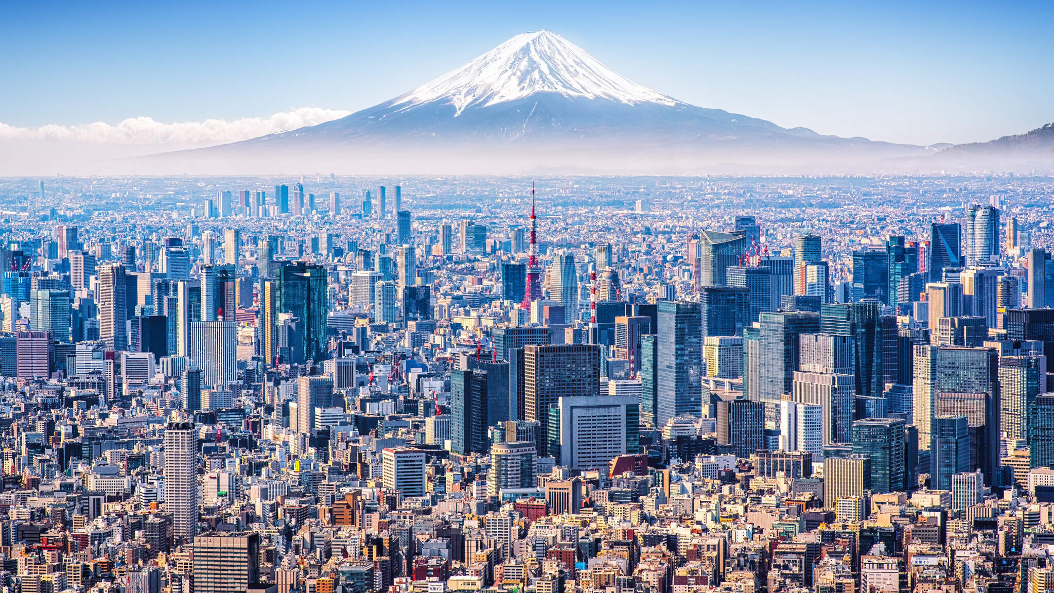 Tokyo, the economic metropolis at the foot of Mount Fuji.